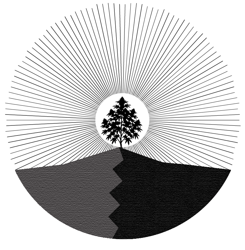 Higher Ground Crop Tee